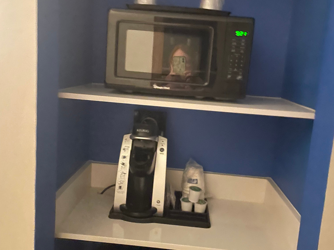 奥佩利卡奥本快捷假日&套房酒店主图