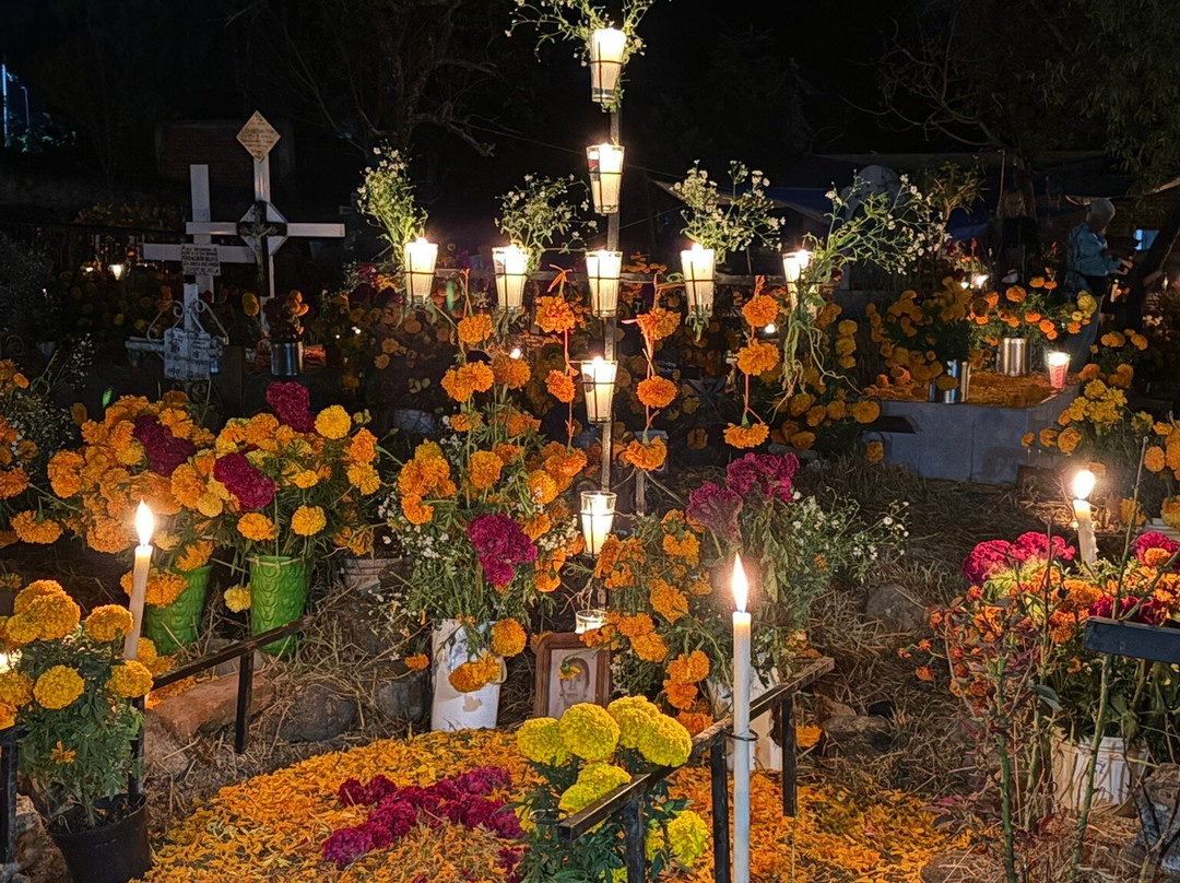 Experience Mex-ECO Tours-Melaque必去景点