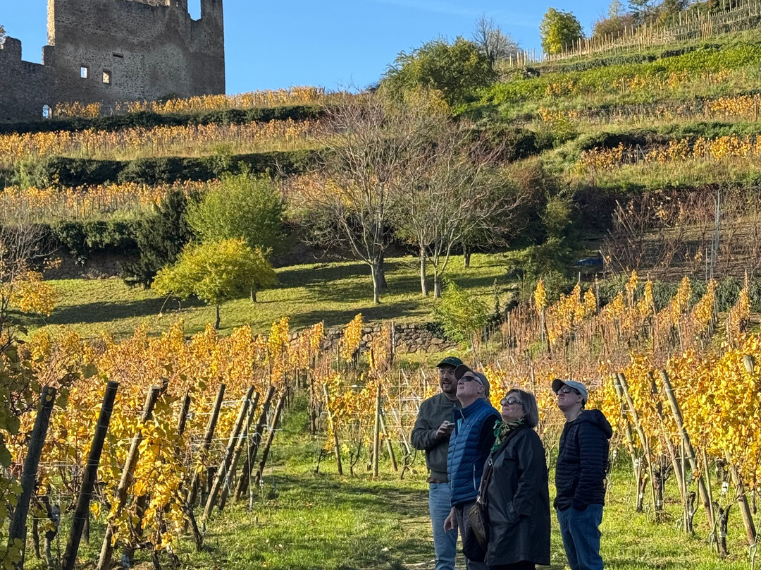 3 Borders Cie-佛莱堡必去景点