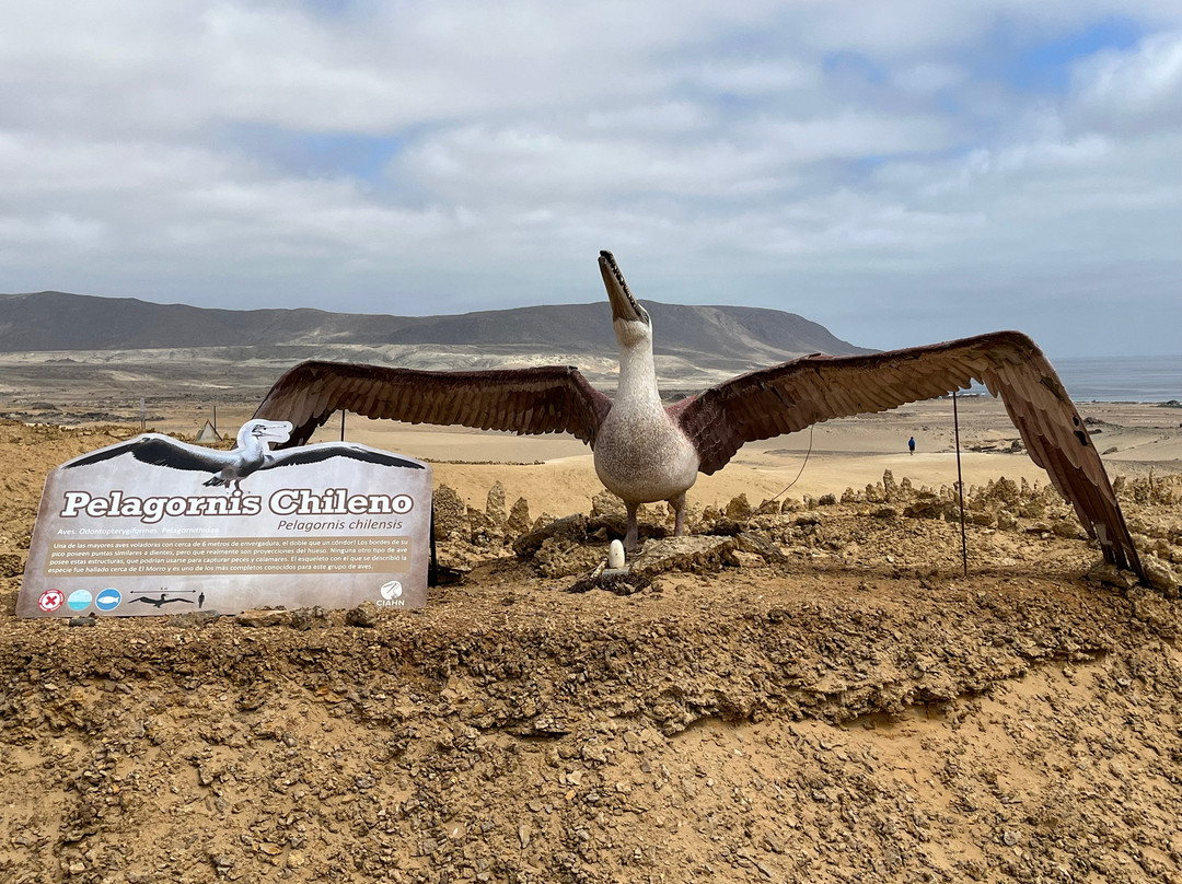GeoTurismo Atacama-Caldera必去景点