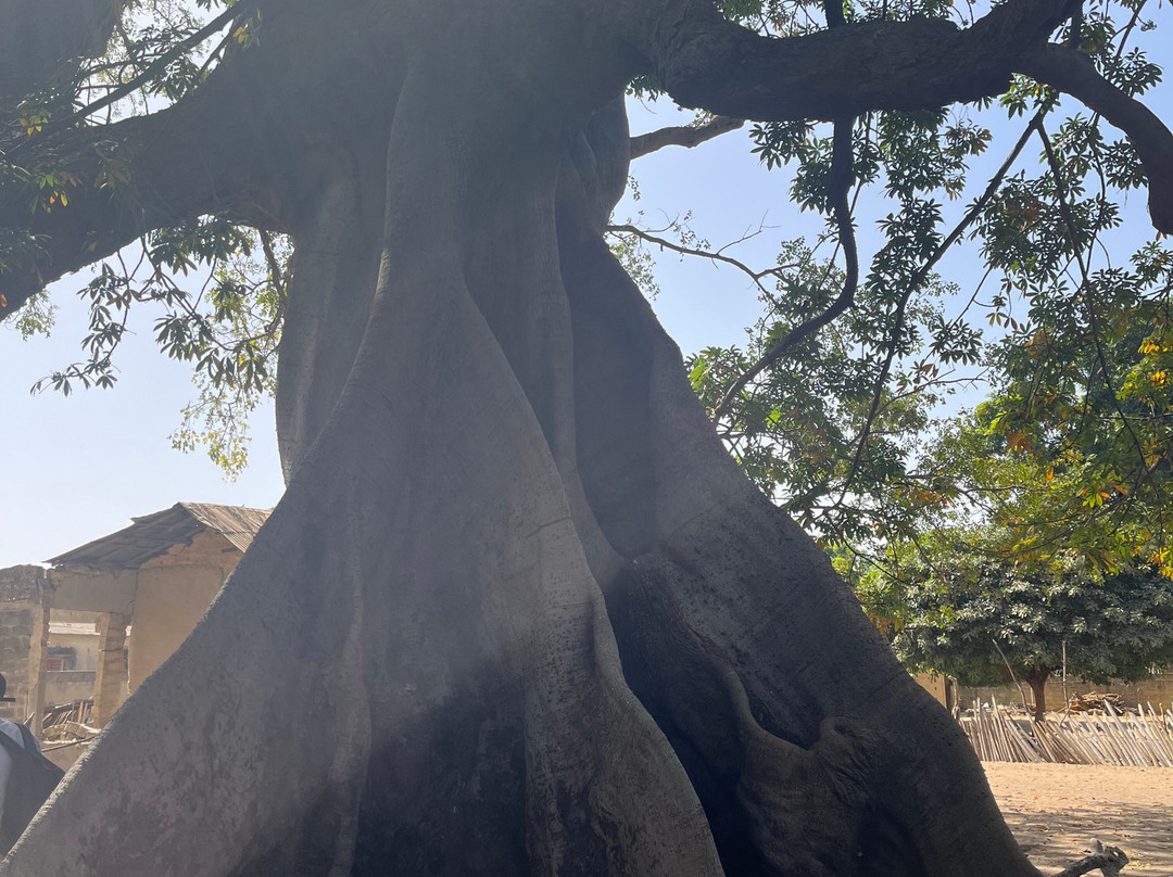 Yerim Tours Senegal-莫布瓦必去景点