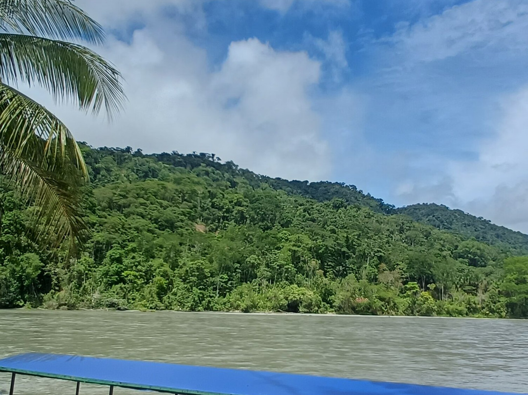 Inkamazonia Jungle Specialist-Manu必去景点