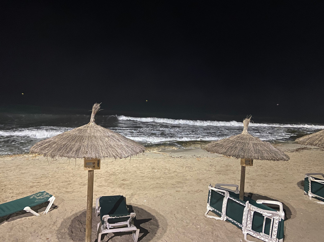 CM Castell de Mar主图