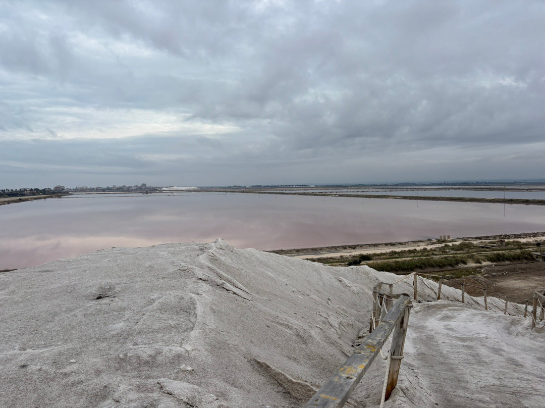 Riserva Naturale di Stato Saline di Margherita di Savoia-Margherita di Savoia必去景点