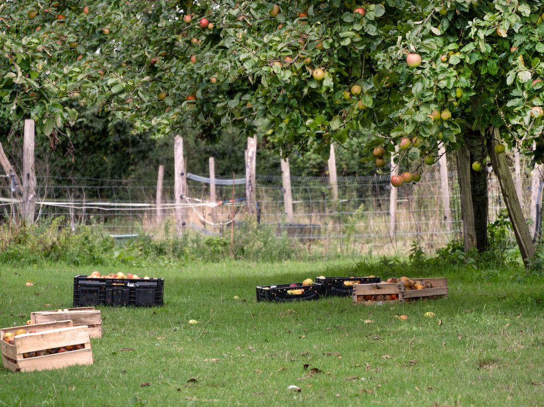 La Chevre Rit-格兰维尔必去景点