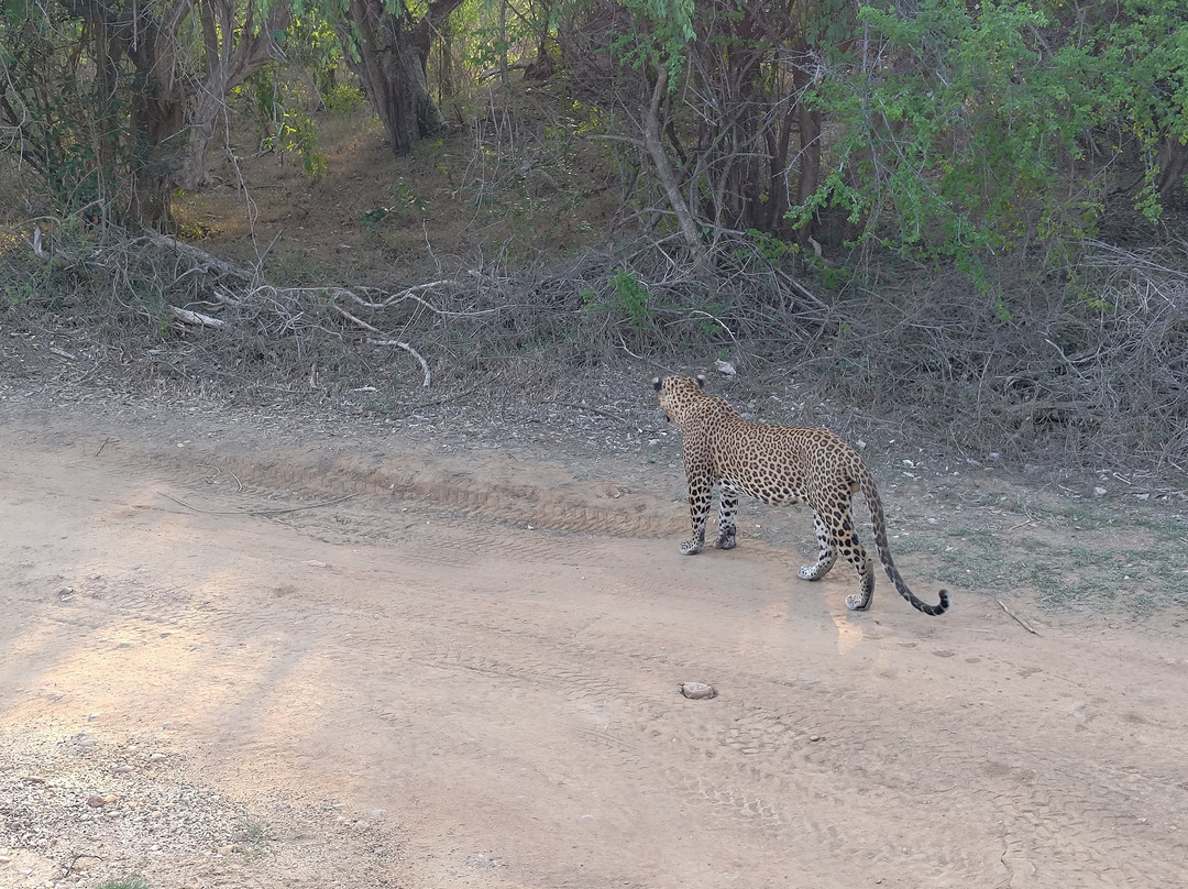 Journey Lanka-Bandaragama必去景点