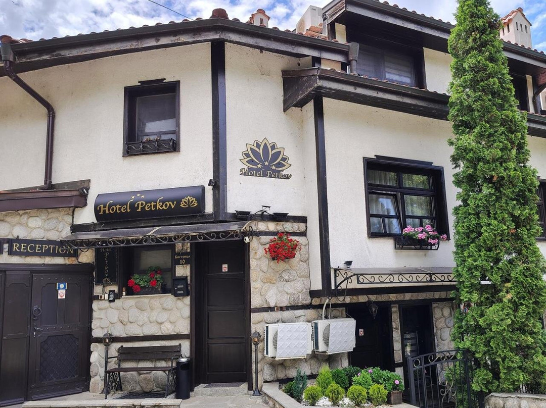 Petkov Guest House主图