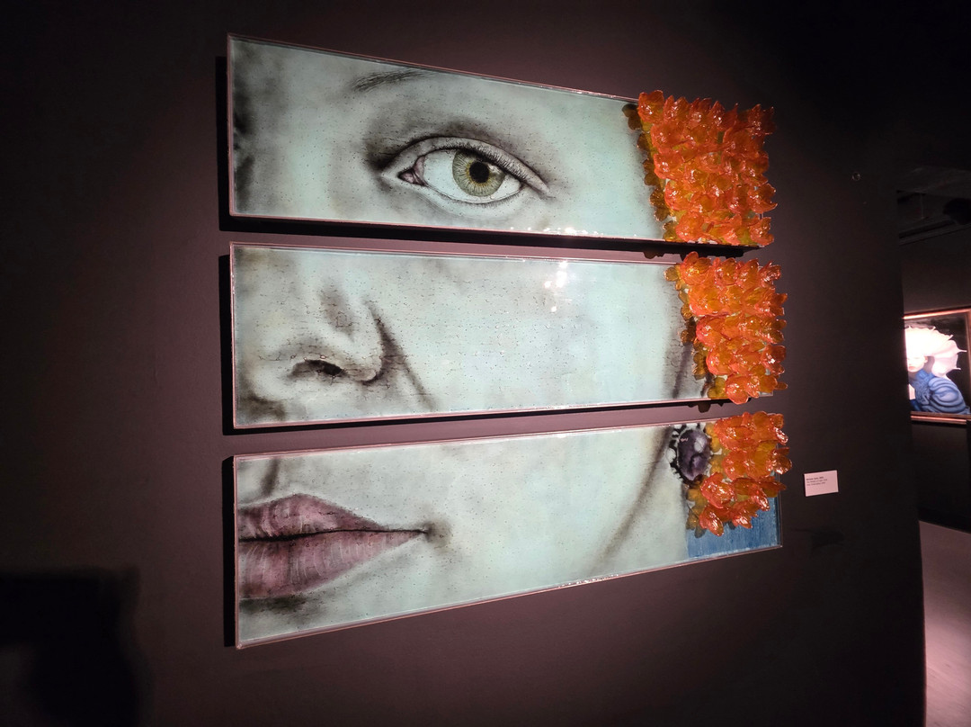 Imagine Museum-圣彼德斯堡必去景点