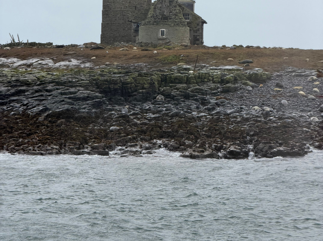 Billy Shiel's Boat Trips-Seahouses必去景点