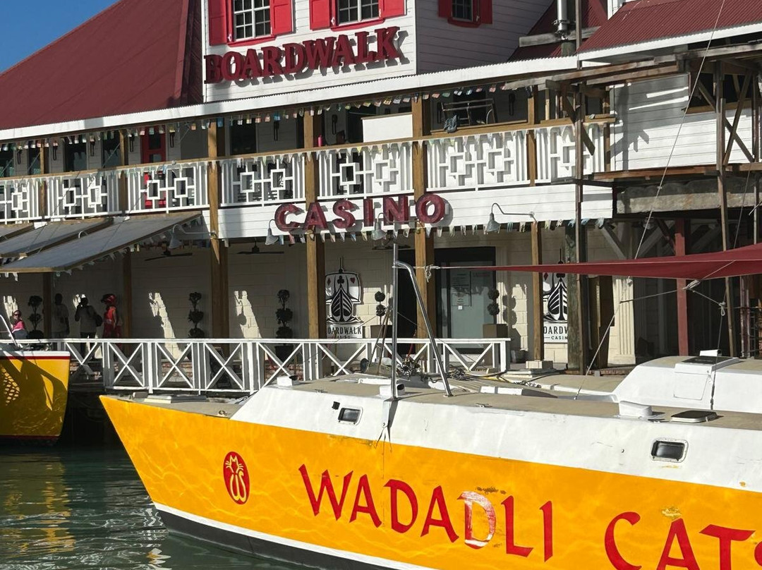 Wadadli Cats-安提瓜必去景点