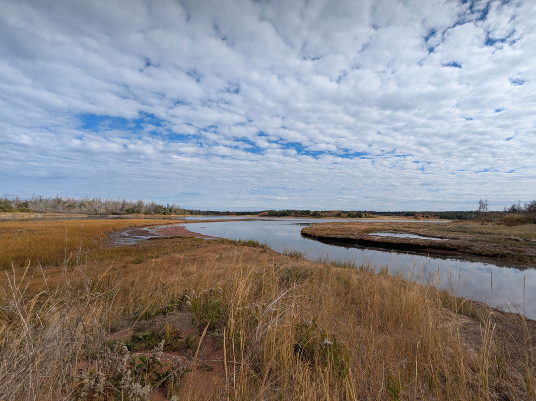 Cavendish Cliffs-卡文迪西必去景点