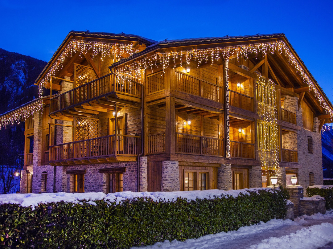 Hotel Les Montagnards主图