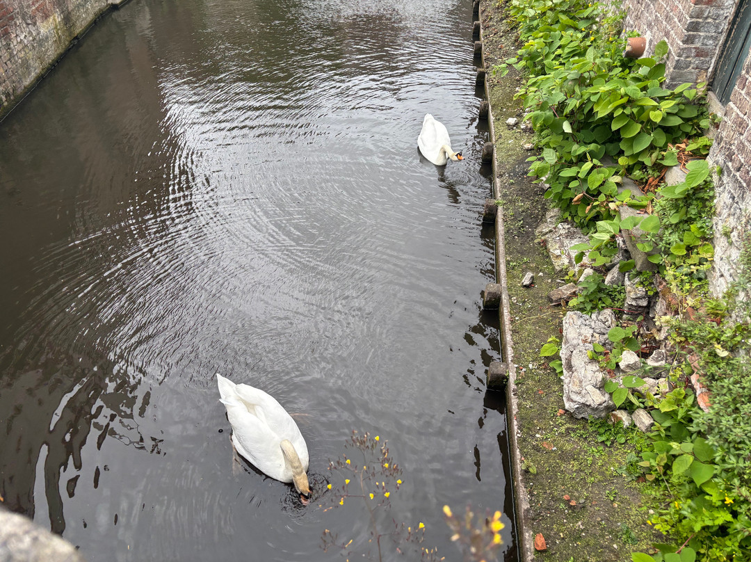 爱之湖-布鲁日必去景点