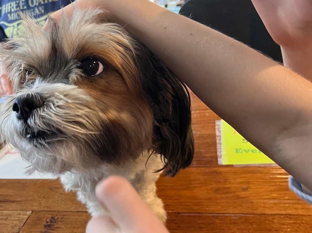 Dewey Cannon Bicycle Museum-Three Oaks必去景点