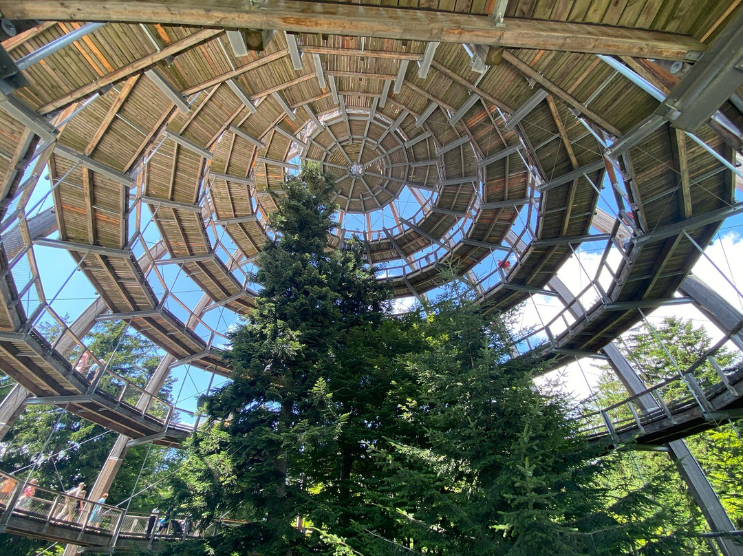 Baumwipfelpfad Bavarian Forest-Neuschonau必去景点