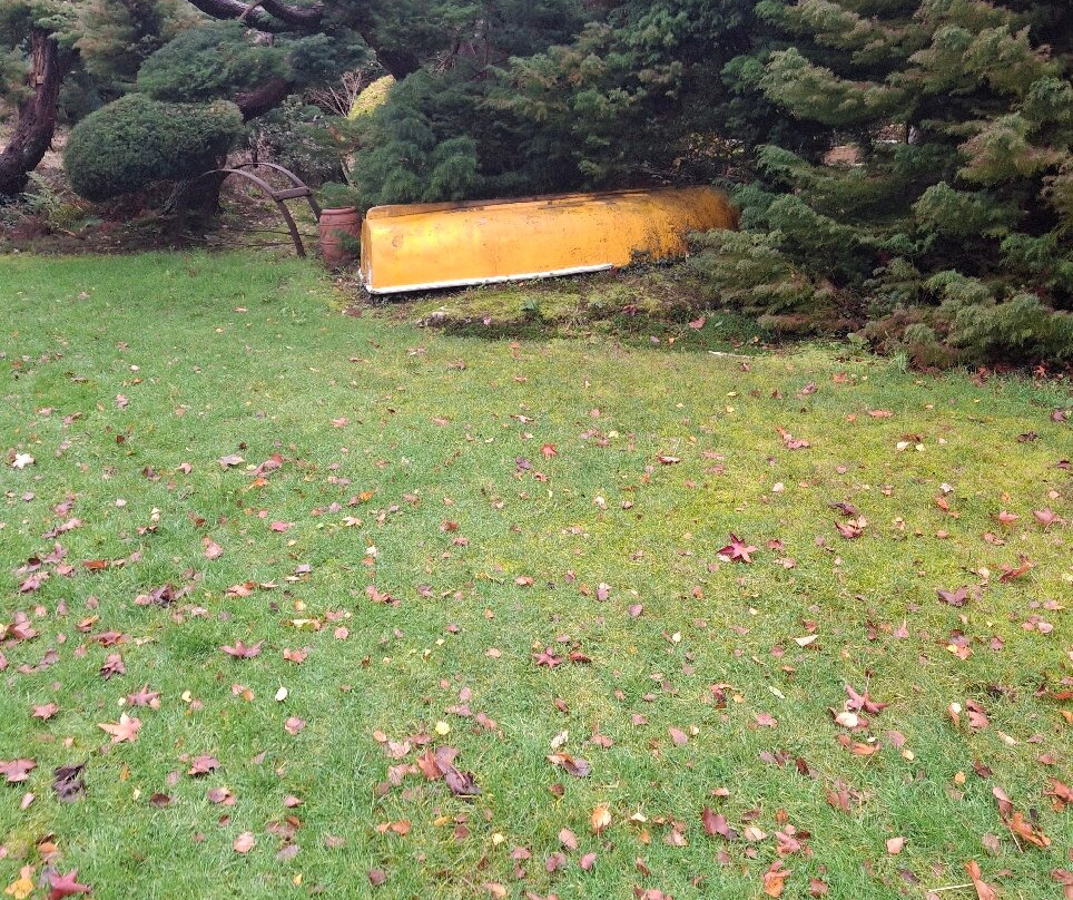 Conwy Valley Garden Maze-Dolgarrog必去景点