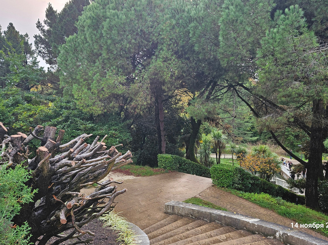 Southern Cultures Park-艾德勒必去景点