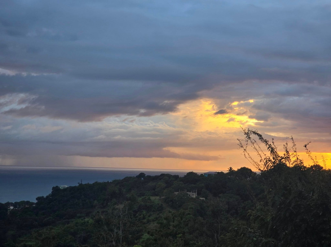 The English Rose Guest House主图