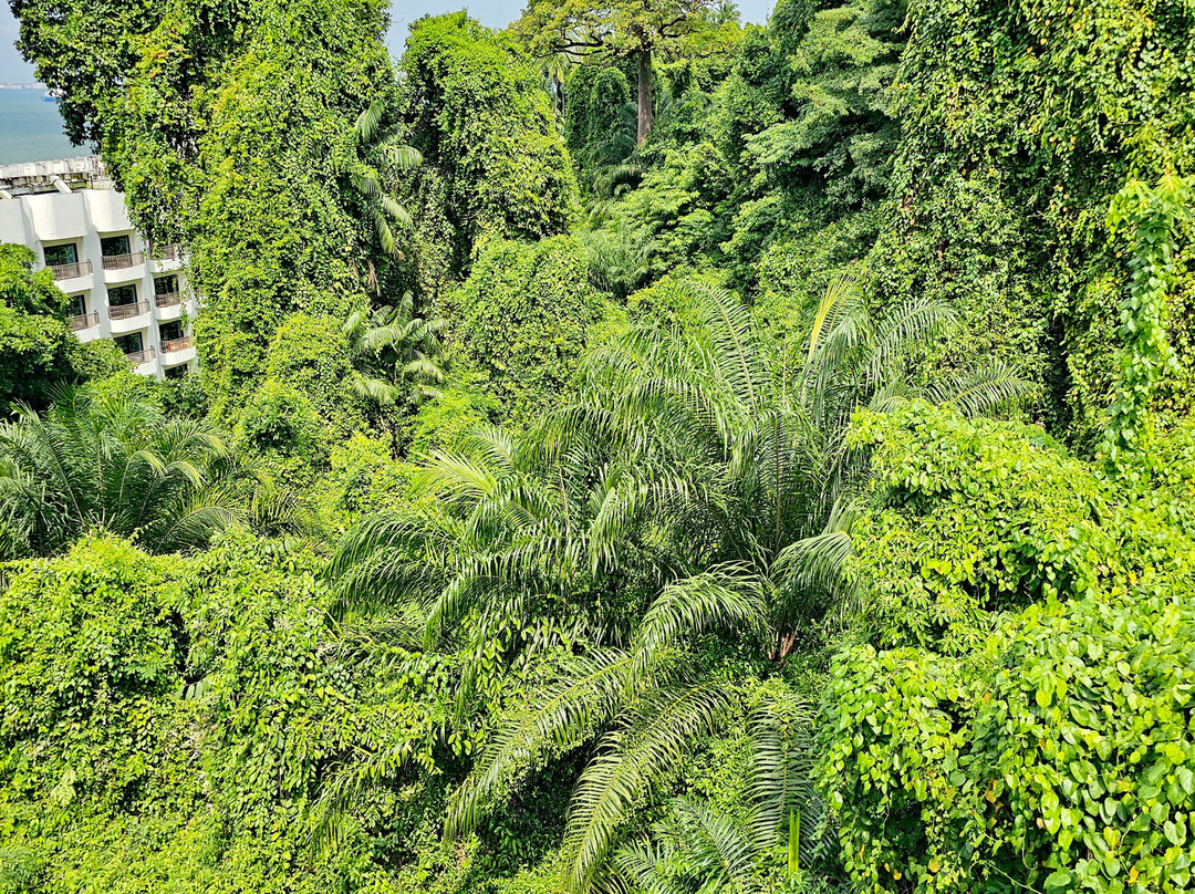 Fort Siloso Skywalk-圣淘沙岛必去景点