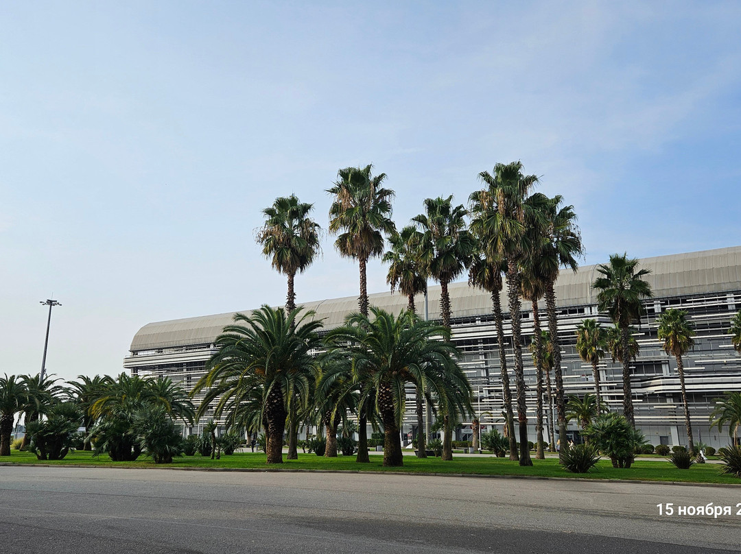 Sirius Autodrom-Sirius必去景点