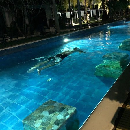 奥赛斯度假村&别墅主图