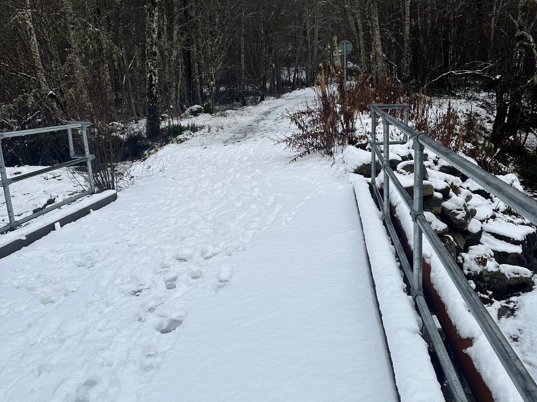 The Beastie Boats-因弗内斯必去景点