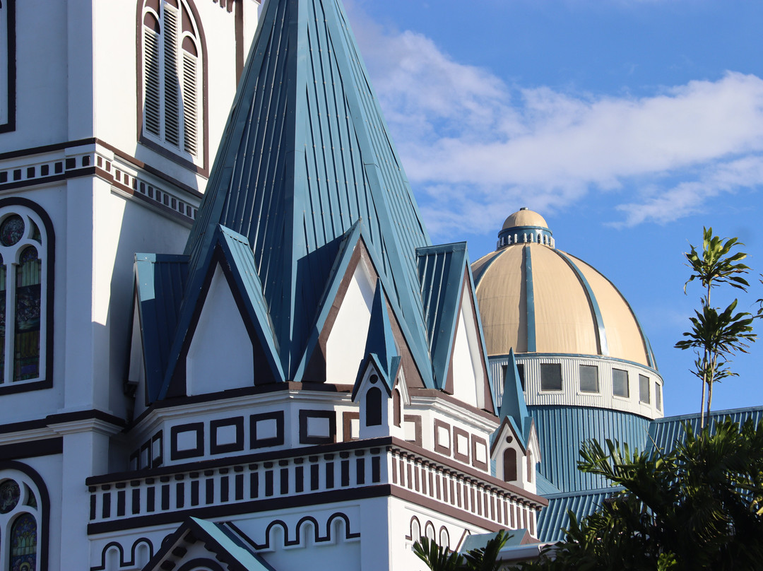 Immaculate Conception Cathedral-阿皮亚必去景点