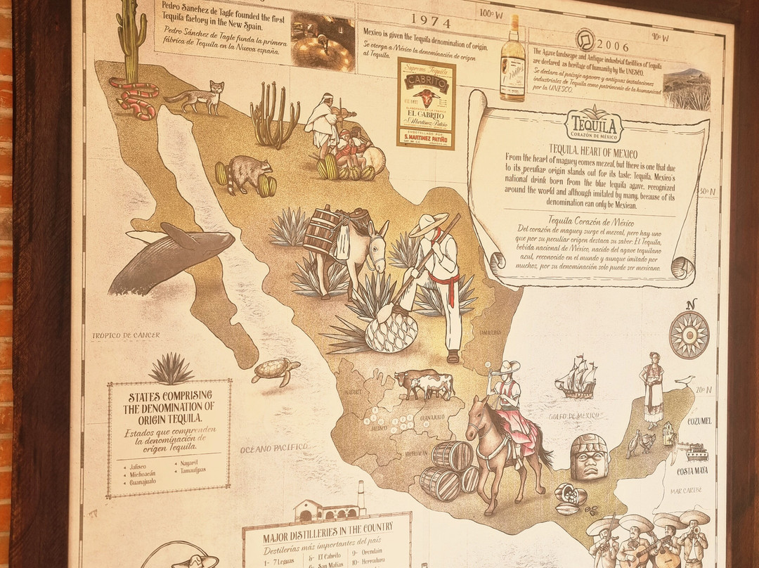 Costa Maya Cruise Port-Mahahual必去景点