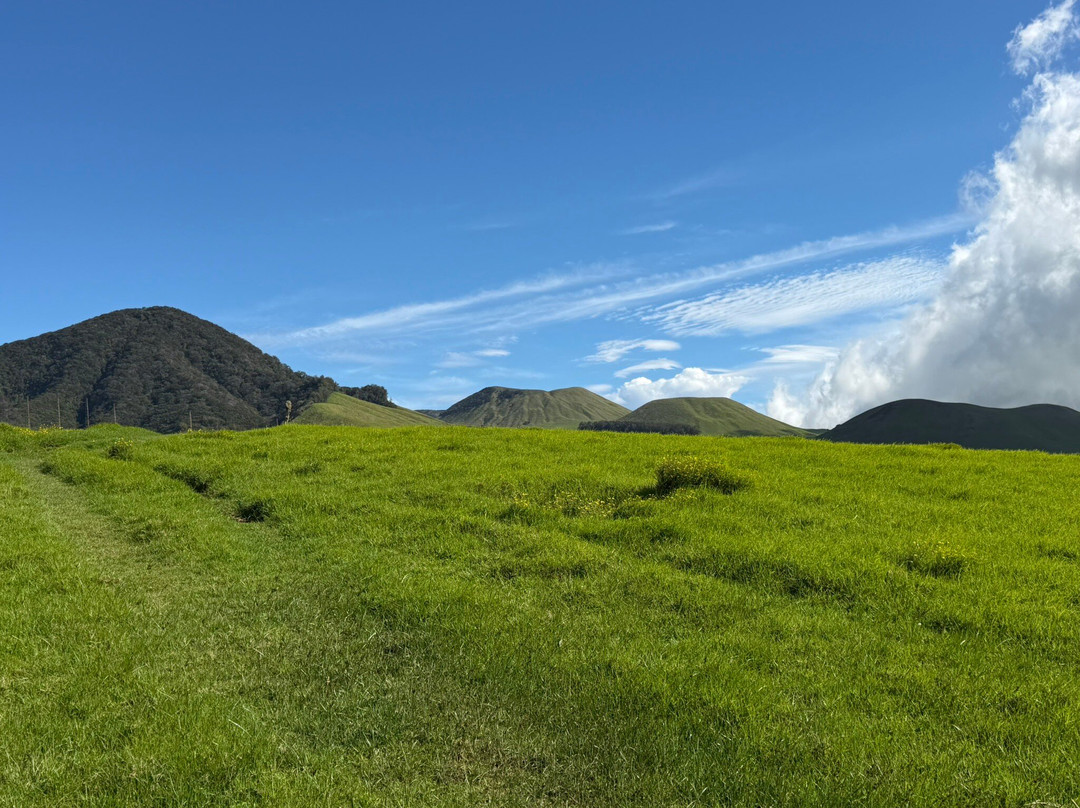 Na'alapa Stables - Kahua Ranch-卡慕也拉必去景点