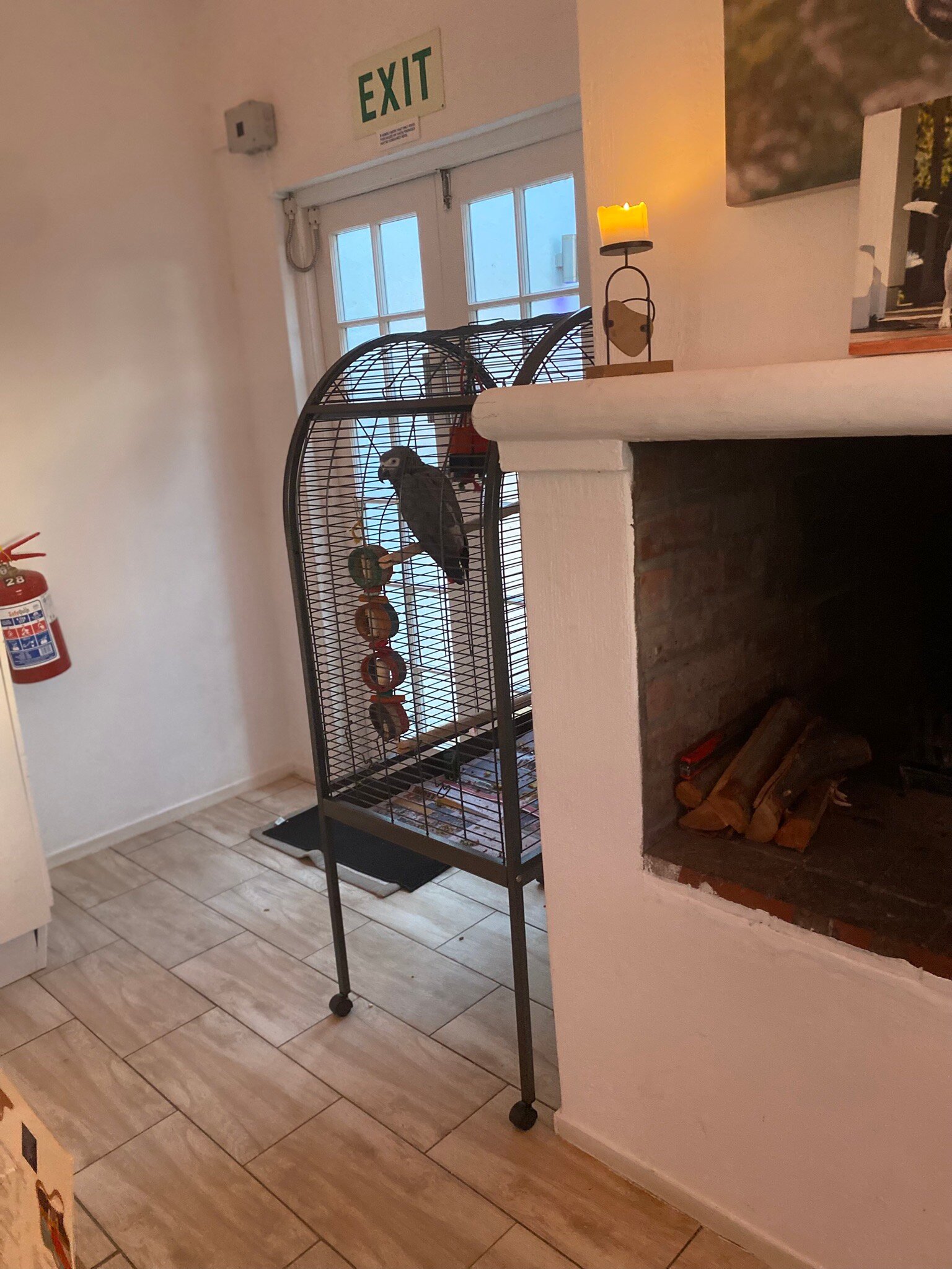 Thelab Robertson-官方