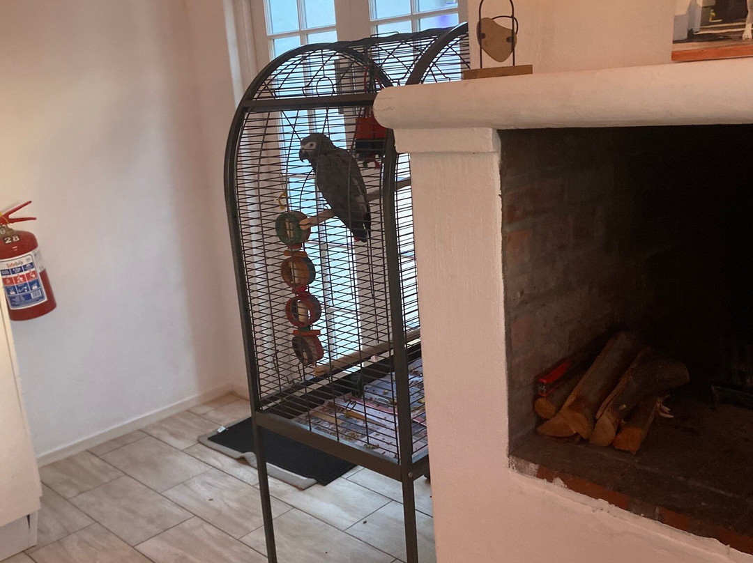 Thelab Robertson主图