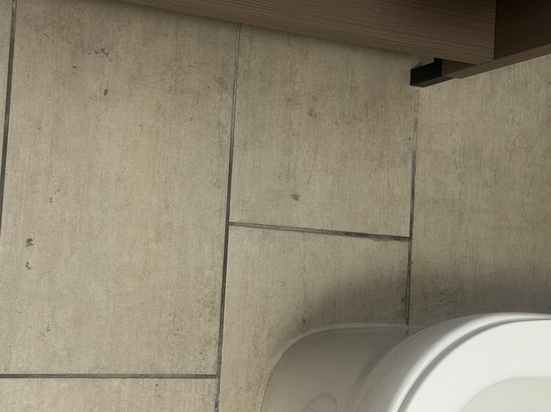 Comfort Suites Columbia主图