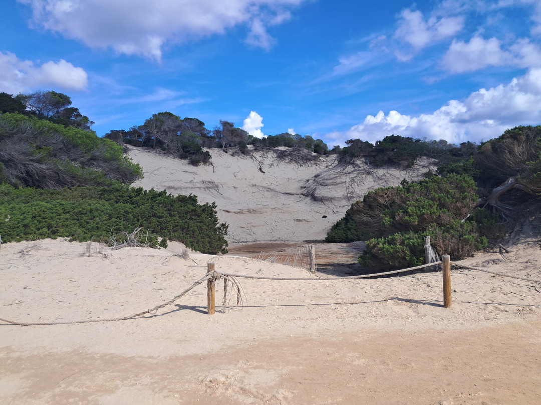 Platja Des Cavallet-伊维萨城区必去景点