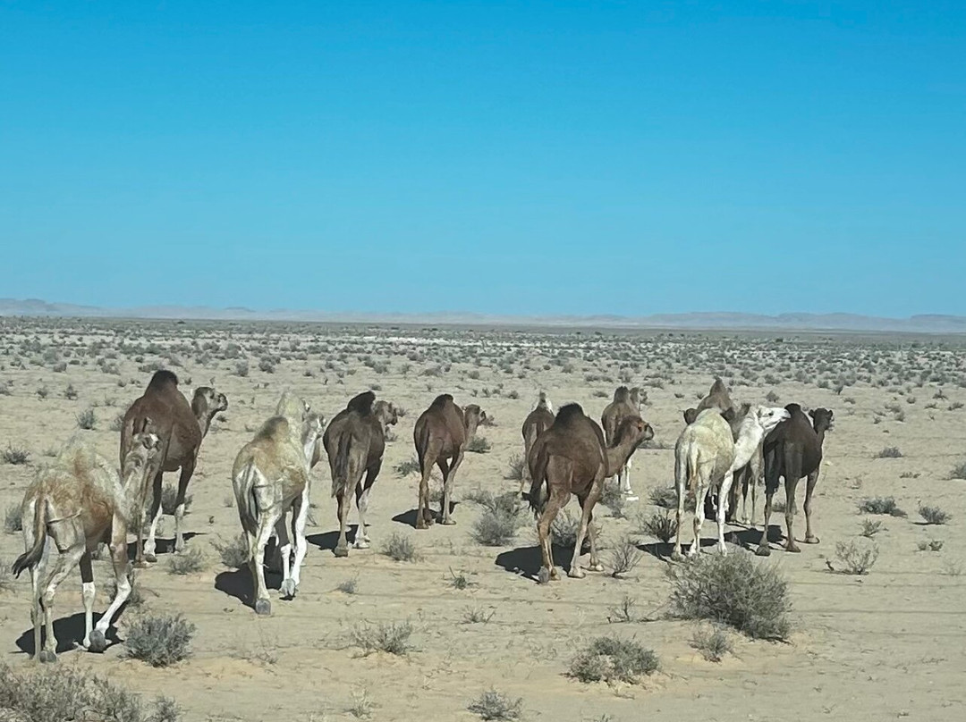 Tunisia Monumental-苏塞必去景点