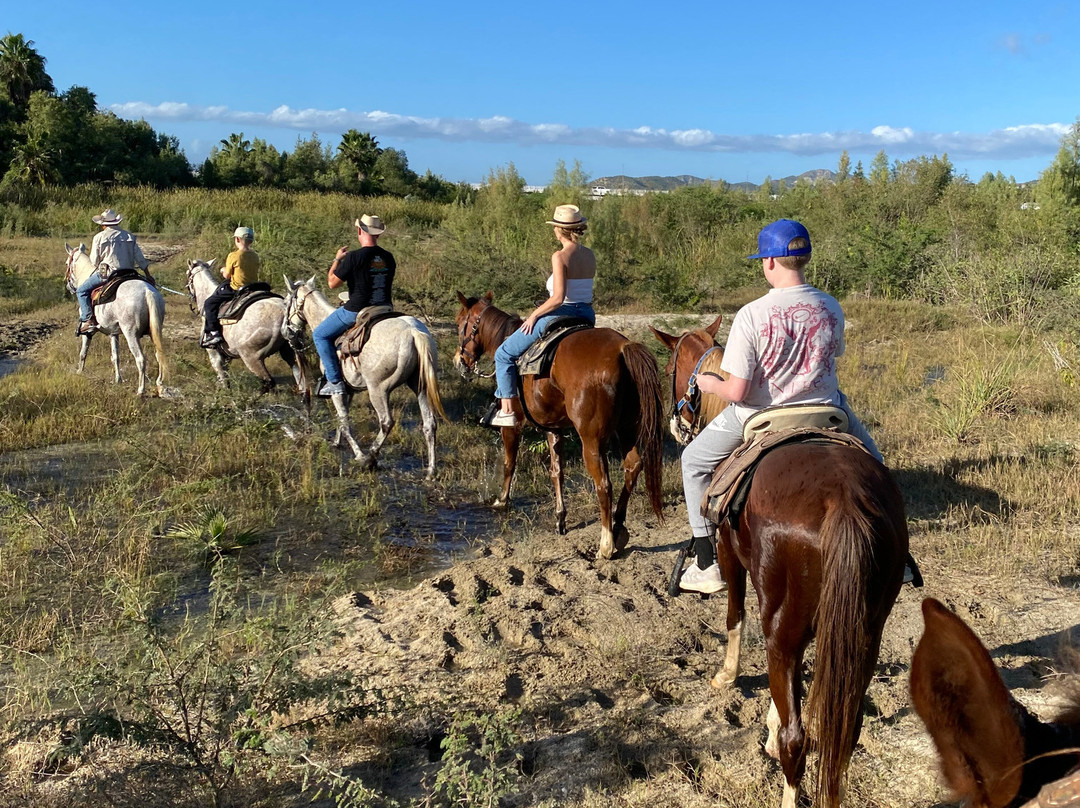 Rancho Animas-Animas Bajas必去景点