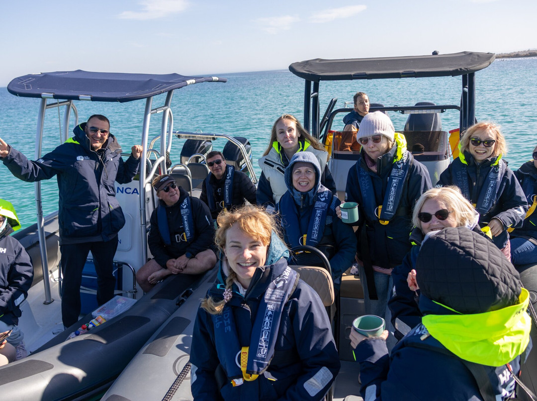 Cape Coast Expeditions-Yzerfontein必去景点