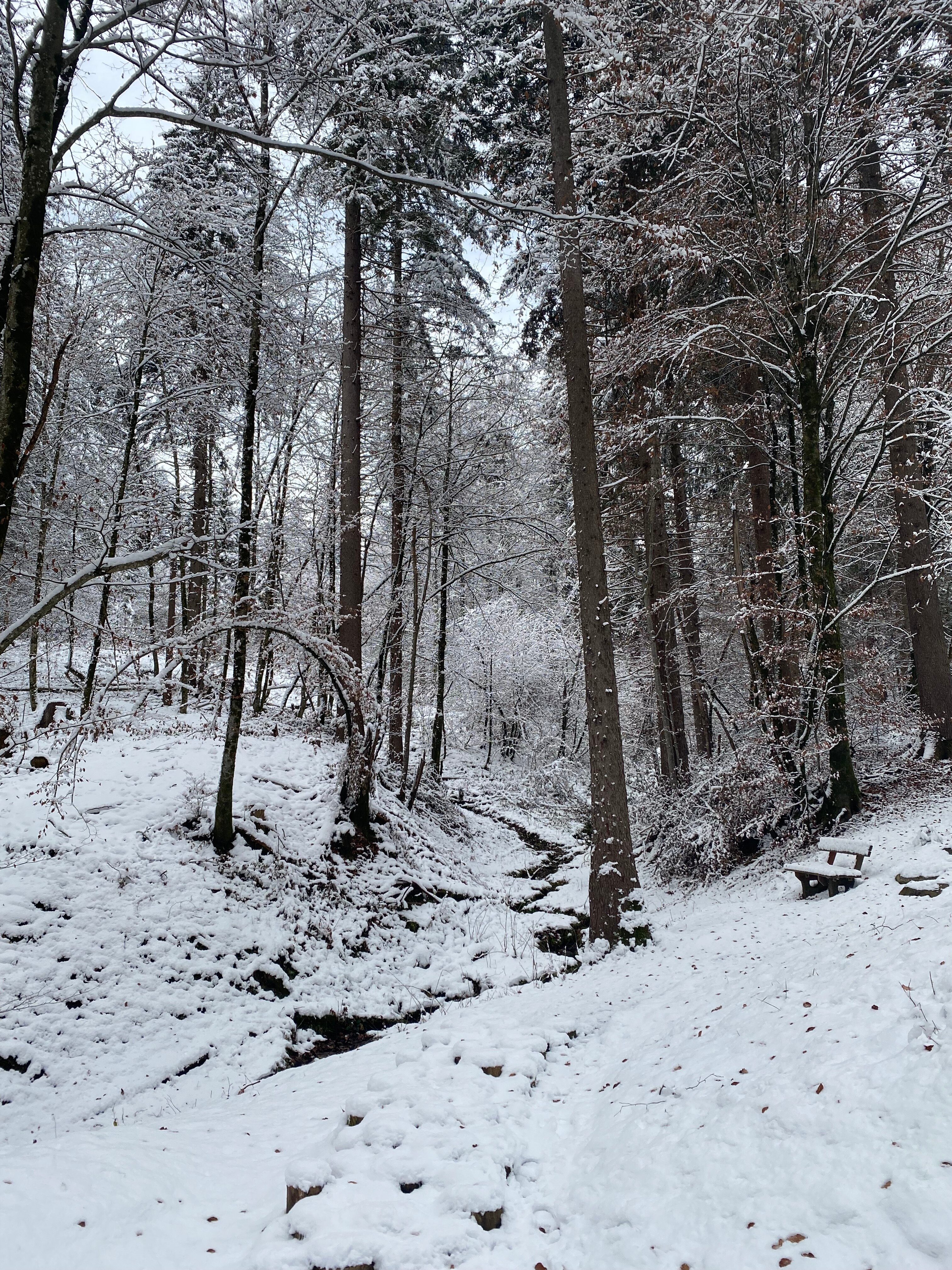 Biohotel Daberer-浴室