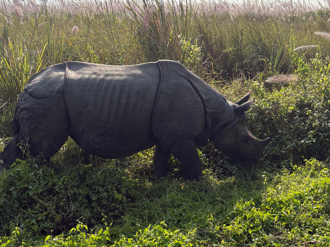 Adventure Nation Treks Nepal-博卡拉必去景点