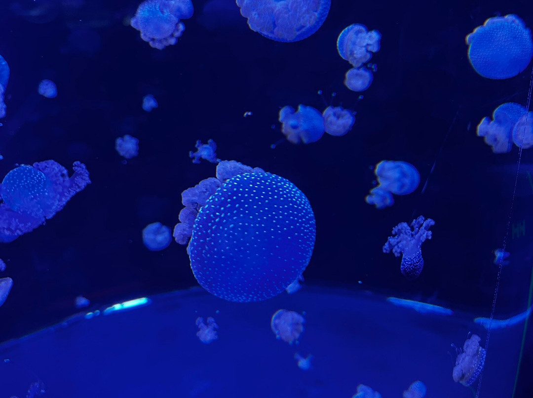 Aquarium du Québec-魁北克市必去景点