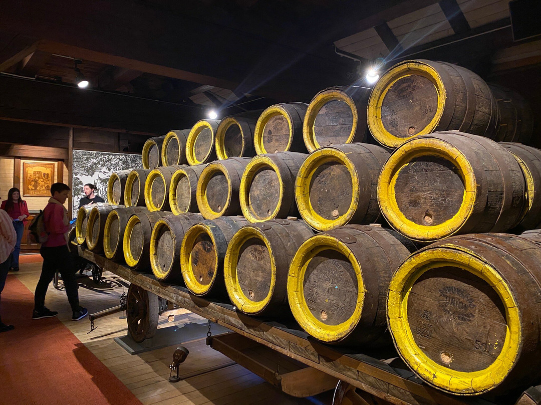 Union Experience-卢布尔雅那必去景点