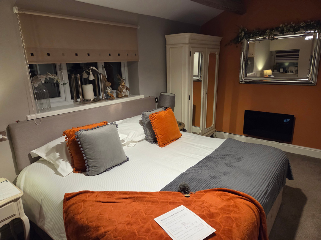 The Curious Fox主图