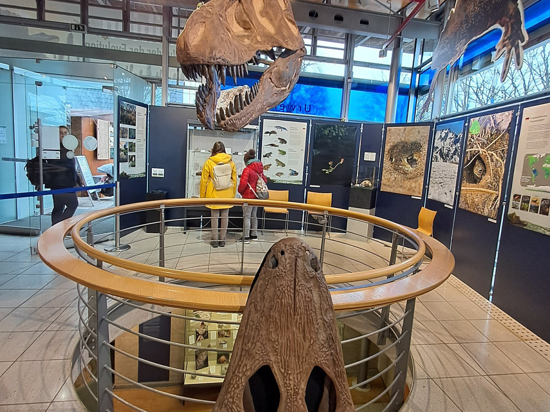 Burg Lichtenberg-Thallichtenberg必去景点