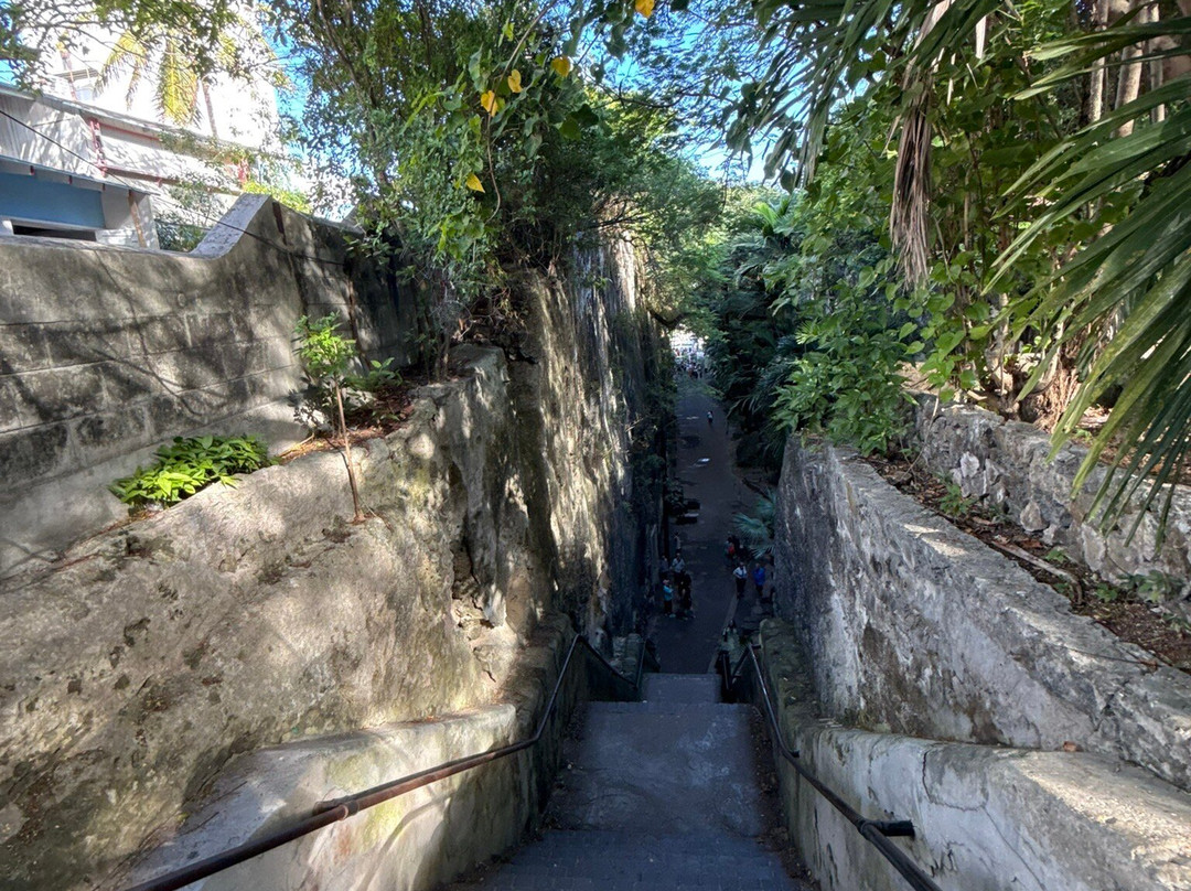 Adventures Caribbean-拿骚必去景点