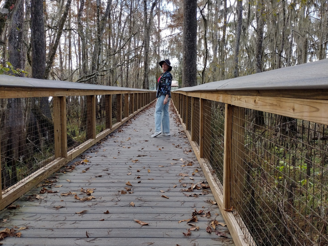 Cedar Key Bed and Breakfast主图