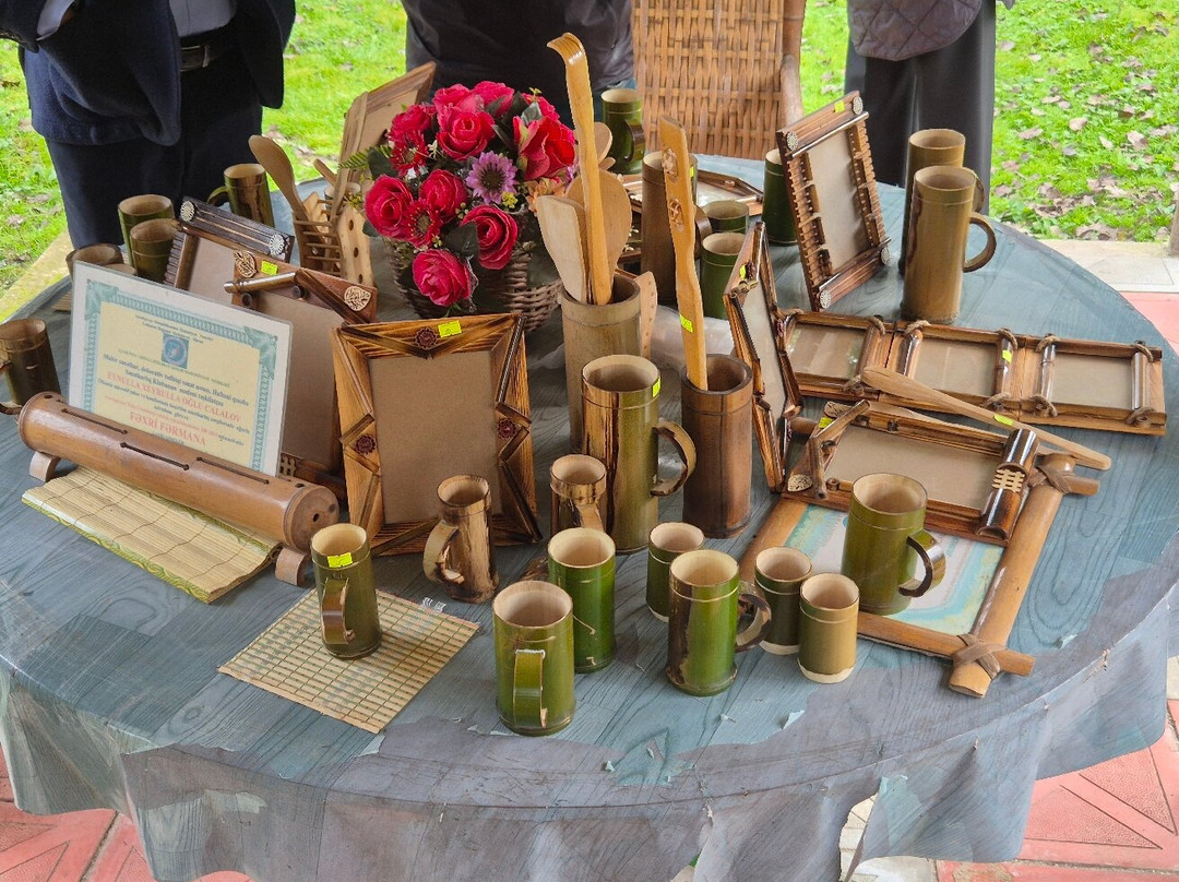 Bamboo plantation-连科兰必去景点