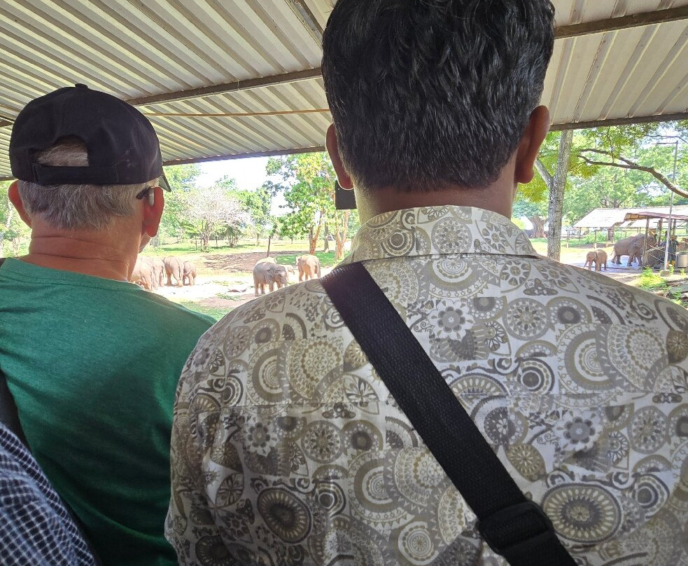 Udawalawa Elephant Orphanage-乌达瓦拉瓦必去景点