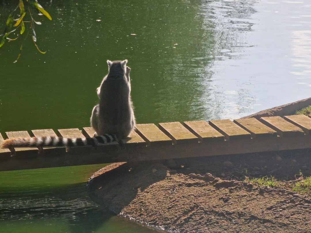 Jardin Zoologique de Rabat-拉巴特必去景点
