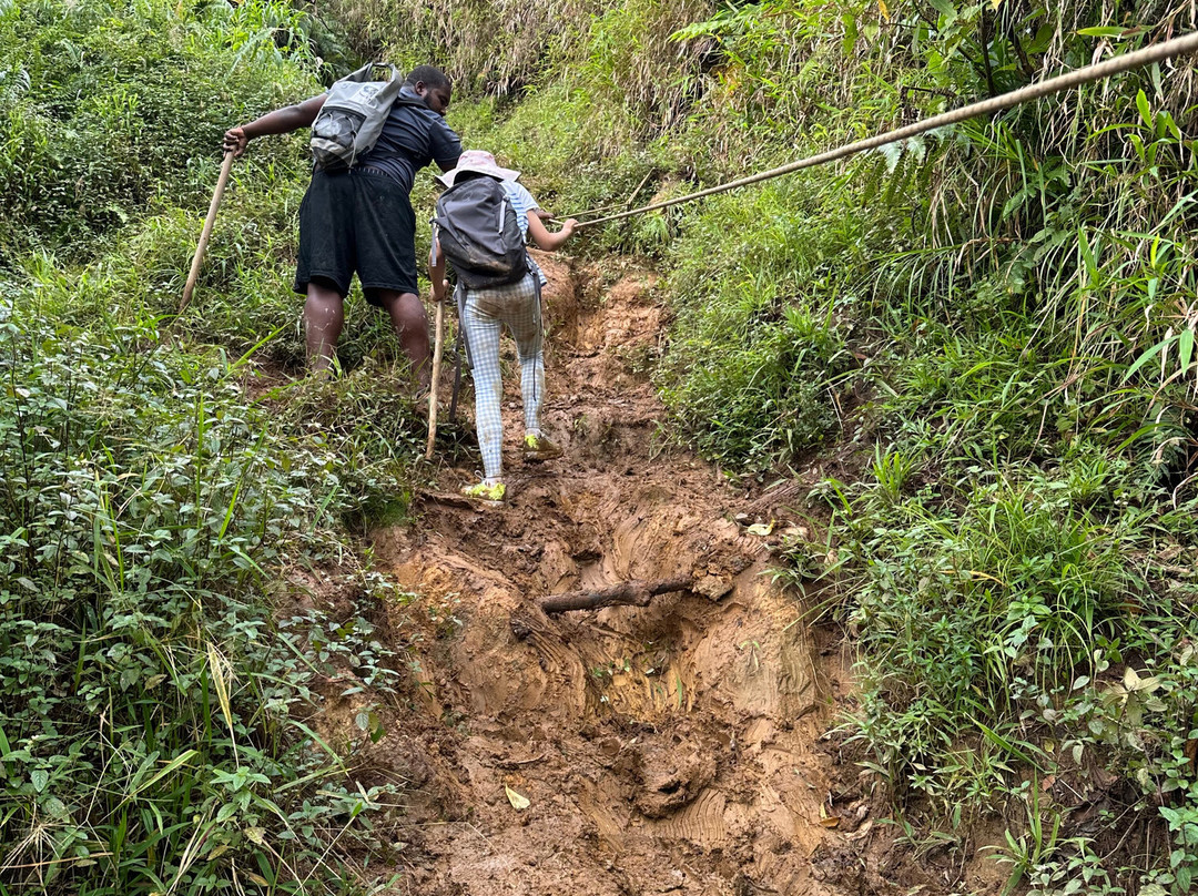My Island Adventures with Chadi Symes-罗索必去景点