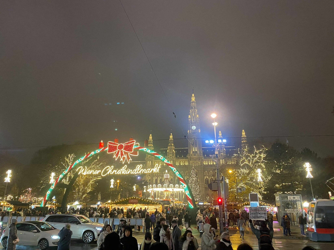 市政厅广场-维也纳必去景点