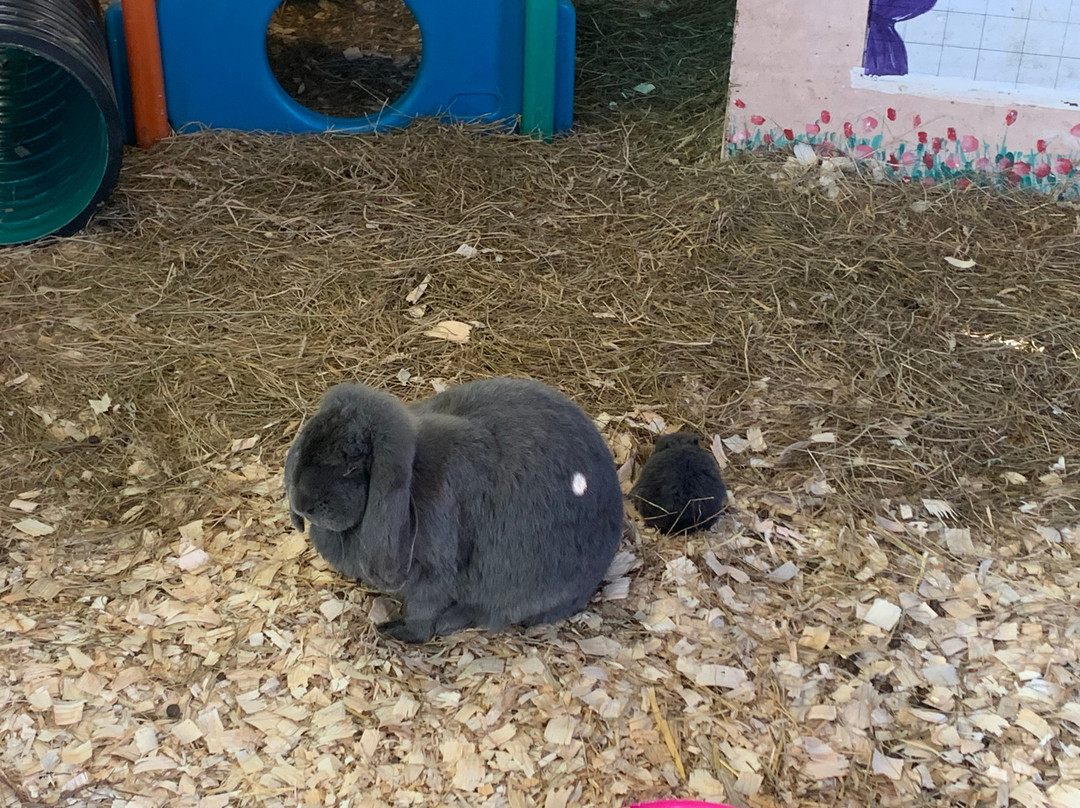 Thrift Farm-Whaddon必去景点